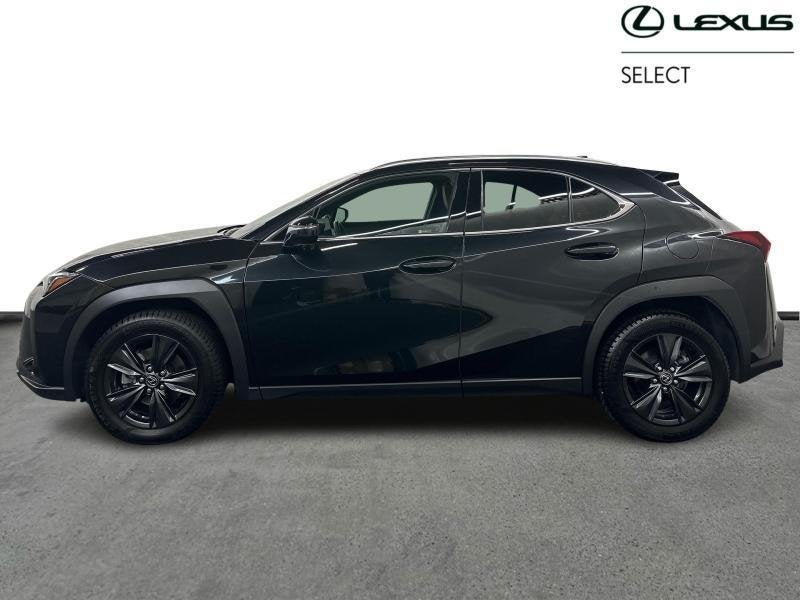 Lexus UX 199hp HEV Business Line | winter pack | all seasons, Auto's, Lexus, Automaat, https://public.car-pass.be/vhr/106dbc77-5a9e-458f-b372-10d11e0aeb76