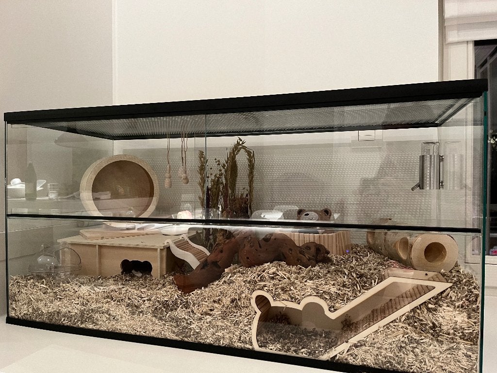 Hamster terrarium 100x40x50 + uitgebreide inrichting, Kooi, Gebruikt, Hamster, 75 tot 110 cm