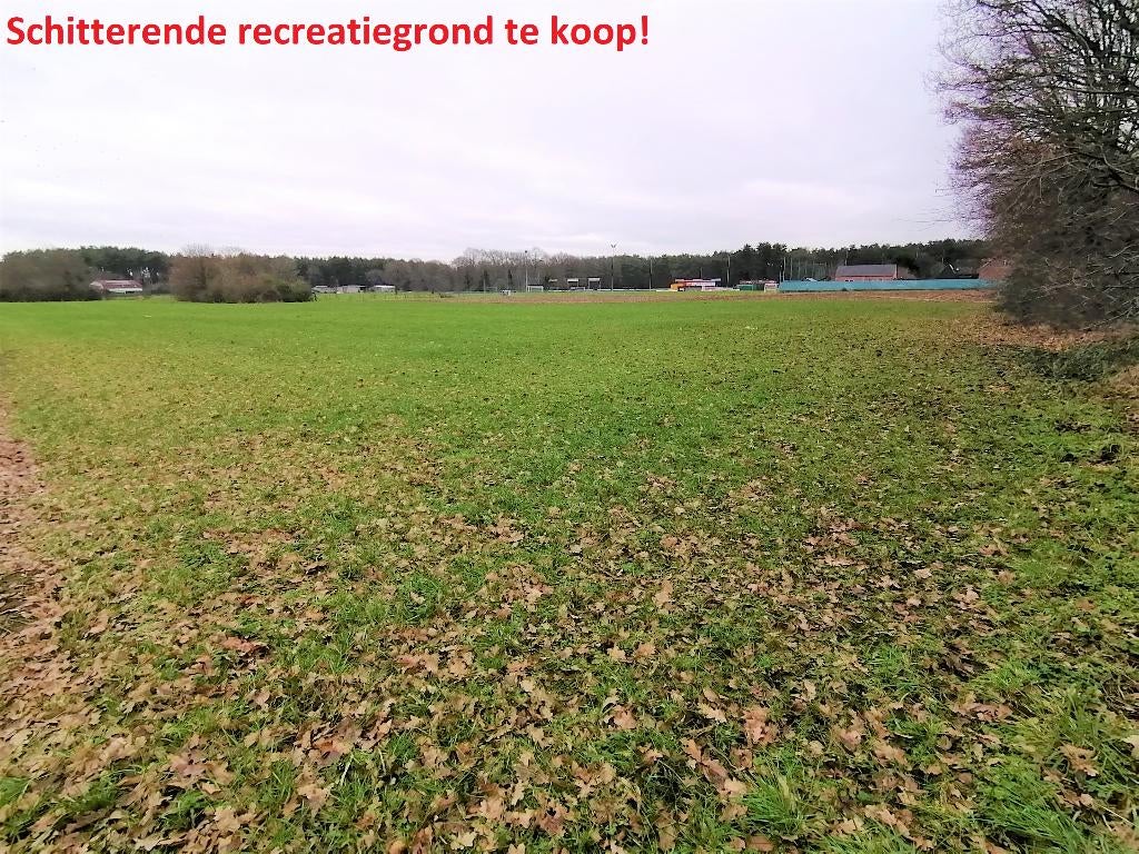 Schitterend gelegen recreatiegrond van 1ha 46a 28ca te koop, Peer, 1500 m² ou plus
