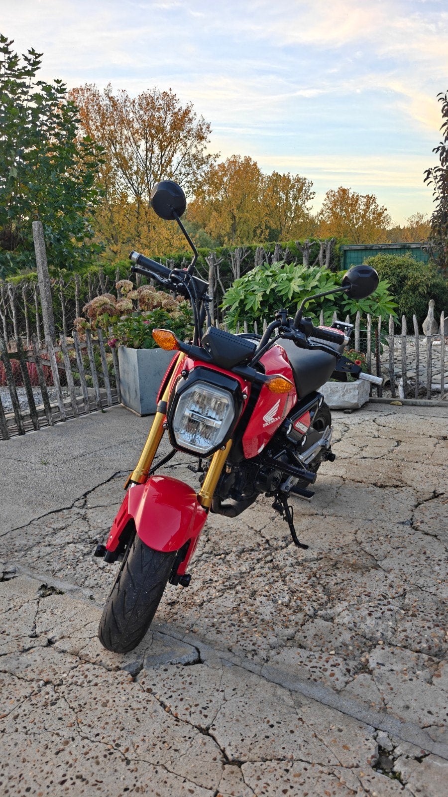 Honda MSX125 Grom (2023) – Kitaco vering & tal van extra's, Motos, Occasion, Permis Moto A1 minimum, Particulier, 1 cylindre
