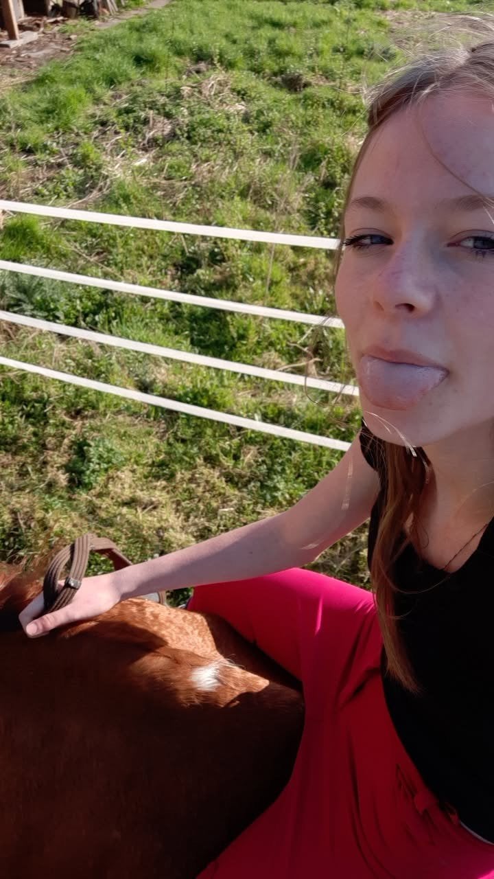 Ik zoek een halve stal in de beurt van Kontich Edegem, Dieren en Toebehoren