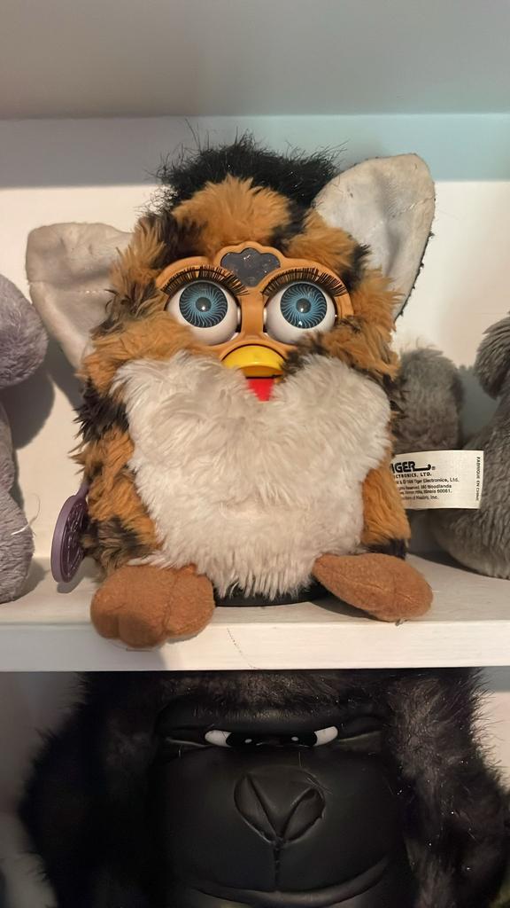 Furby, Enlèvement, Comme neuf