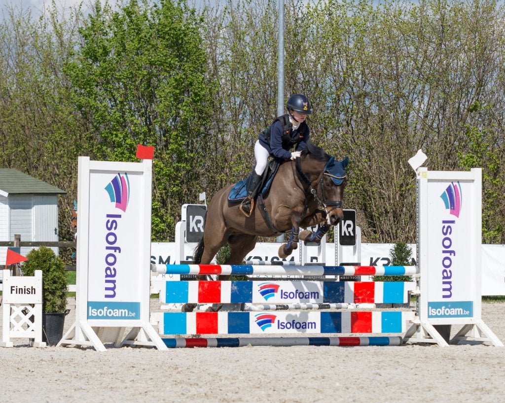 knappe veelzijdige D Pony, Dieren en Toebehoren, Ophalen, BR