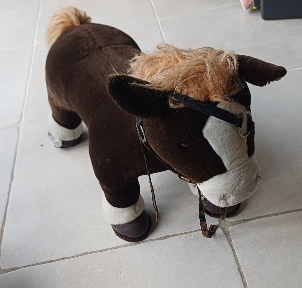 Cheval sur lequel s'asseoir, Enlèvement, Utilisé