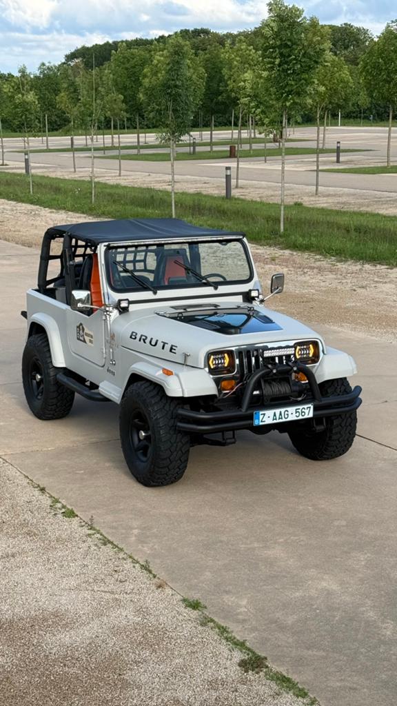 Jeep wrangler  4.2 Oldtimer automaat, Auto's, Automaat, Particulier, 4x4, SUV of Terreinwagen