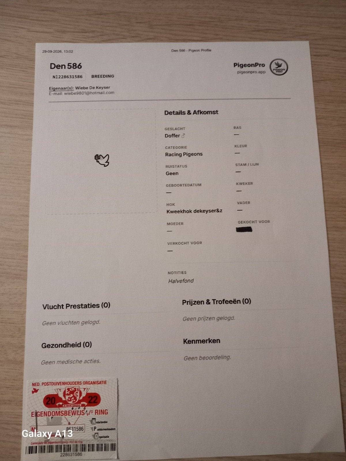 kweekduiver Dekeyser&z, Dieren en Toebehoren, Mannelijk, Postduif