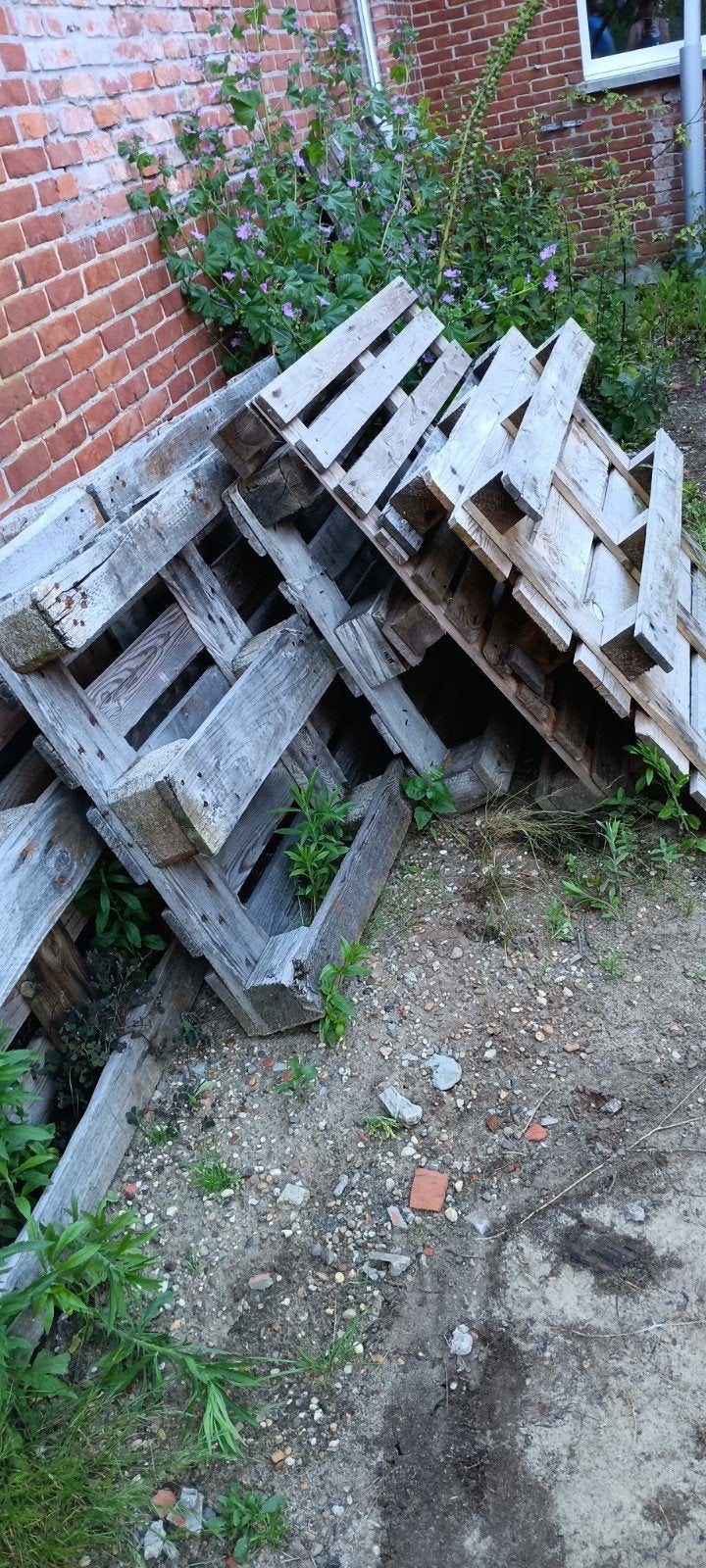 Europaletten, Bricolage & Construction, Bois & Planches, Enlèvement, Palette