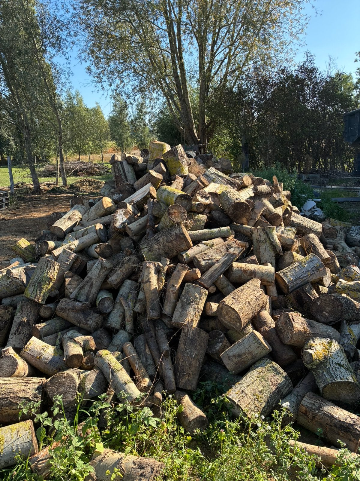 Brandhout wilg, Ophalen