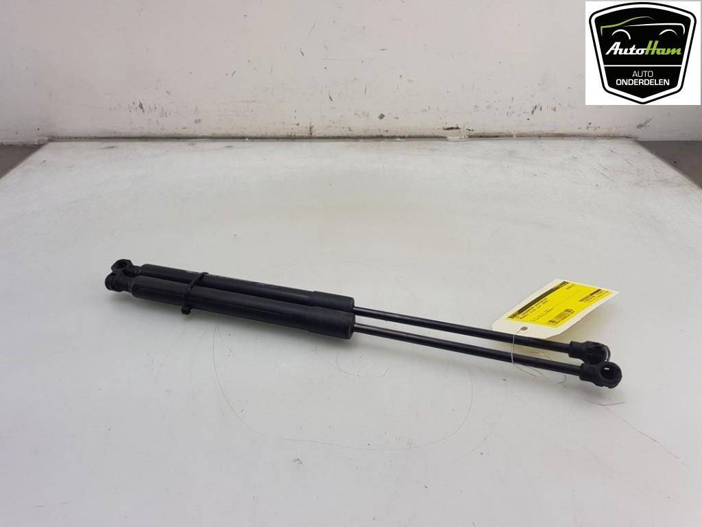 VERIN A GAZ ENSEMBLE ARRIÈRE Renault (|844307620R|), Autos : Pièces & Accessoires, Suspension & Châssis, Renault, Utilisé