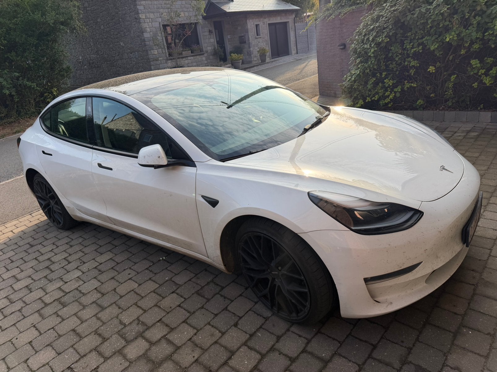 Prestaties van de Tesla Model 3, Auto's, Zwart, Wit, Leder, Elektrisch
