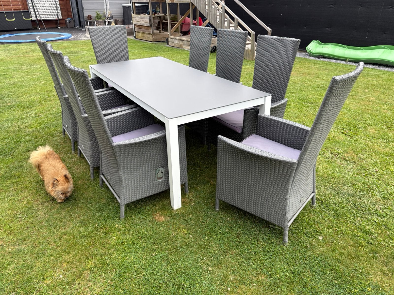 Tuintafel met 8 wickerstoelen incl kussens, Tuin en Terras, Ophalen, Aluminium, Tuinset, Eettafel