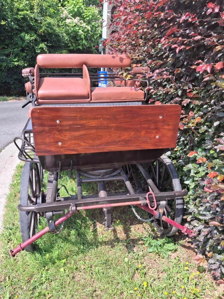 Koets (6 personen), Dieren en Toebehoren, Gebruikt, Overige typen, Paard