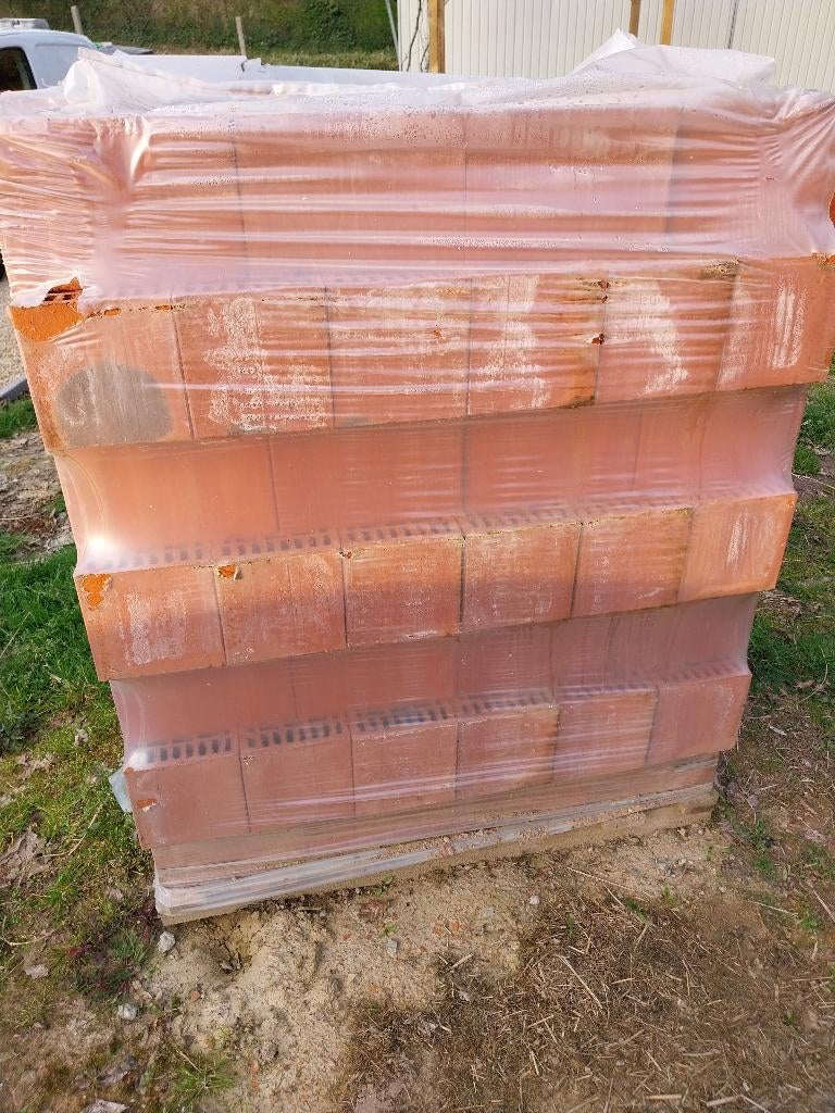 Palette neuve 118 bloc terre cuite "Pro" 19x19x29cm, Enlèvement, Neuf, Briques