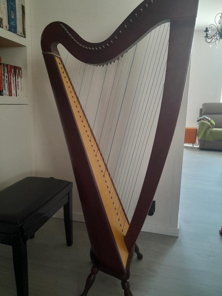 Harp camac, Enlèvement, Comme neuf