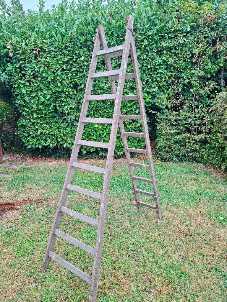 Houten ladder, Ophalen, Gebruikt, Ladder, 2 tot 4 meter