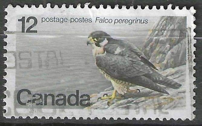 Canada 1977 - Yvert 654 - Le Faucon pèlerin - 12e s. (ST), Envoi, Affranchi