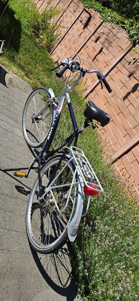 Vélo standard pour homme Batavus Holiday, taille 57, Vitesses, Batavus, 57 à 61 cm, Enlèvement