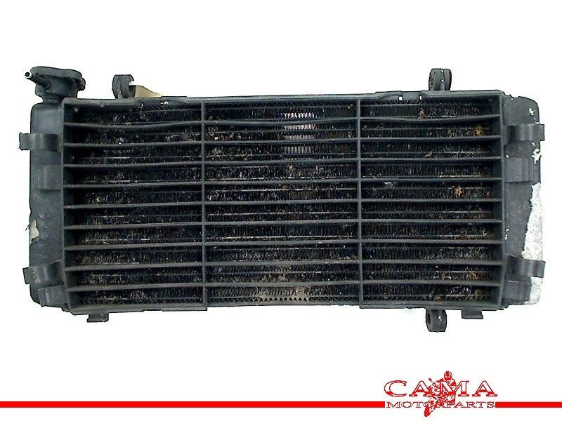 RADIATEUR Honda VFR 750 F 1994-1997 (VFR750F RC36), Motoren, Onderdelen | Honda, Dhr. S. di Majo, Gebruikt, Info@cama-motorparts.nl