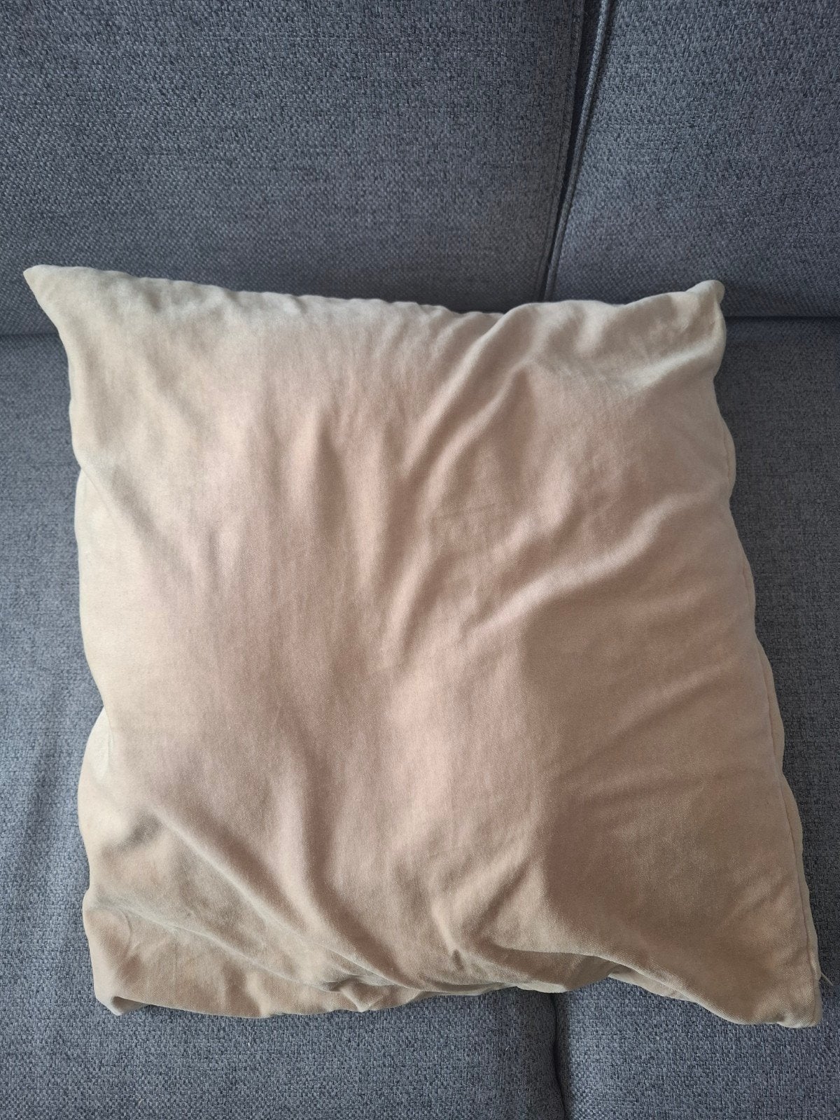 Deux coussins beiges, Enlèvement, Beige
