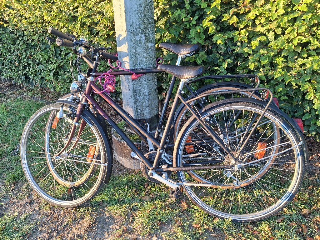 Fietsen, Vélos & Vélomoteurs, Vélos | Cruisers & Lowriders, Frein sur jante, Onbekend, Femmes, Acier