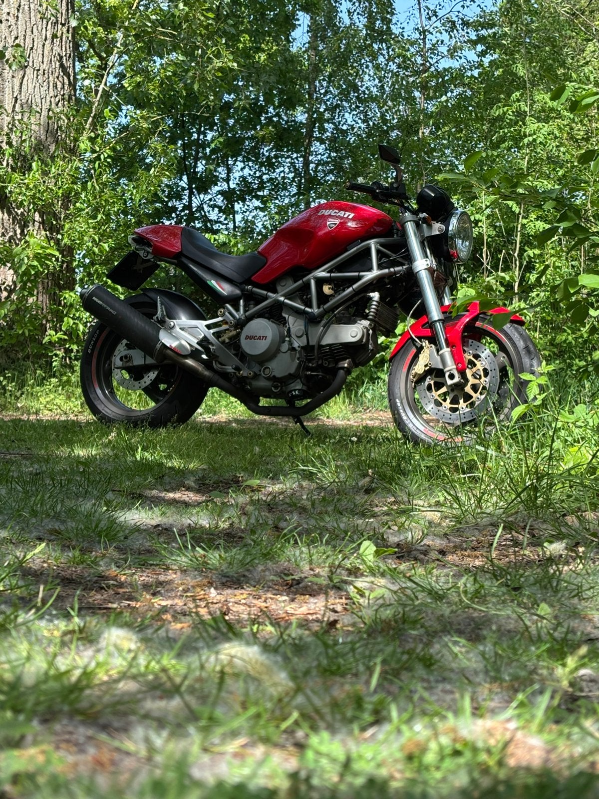 Ducati d'époque, 2 cylindres, Particulier, Naked bike