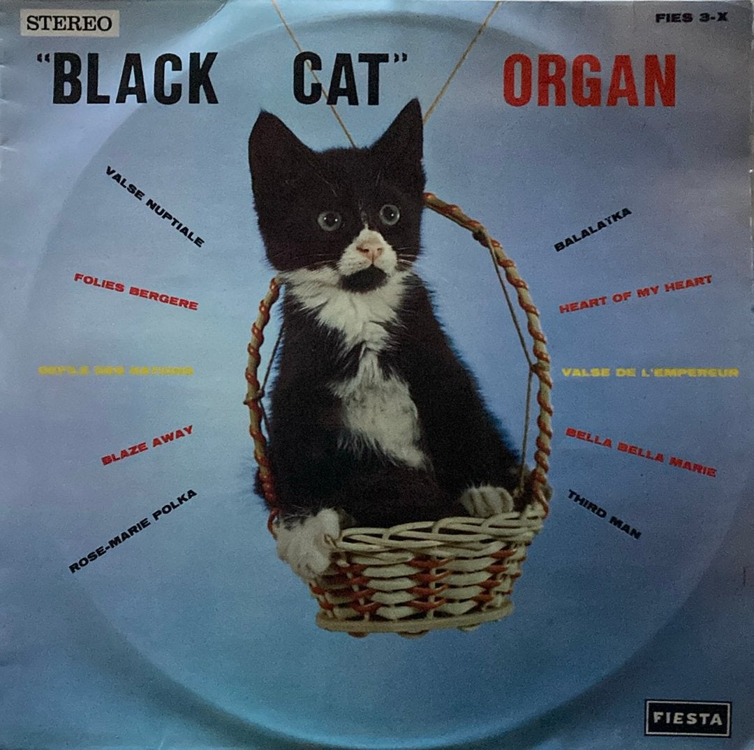 Black cat organ, CD & DVD, Vinyles | Compilations, Enlèvement ou Envoi, Comme neuf