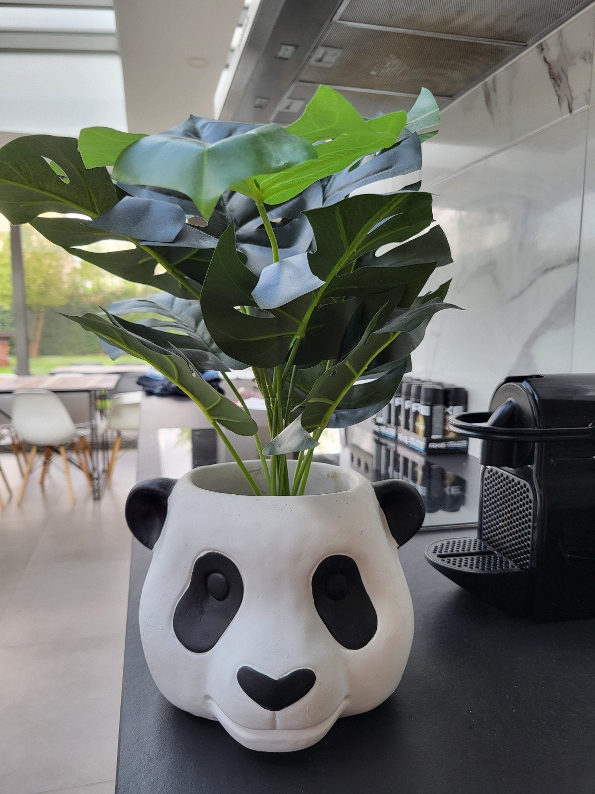 bloempot panda met plant monstera, Enlèvement