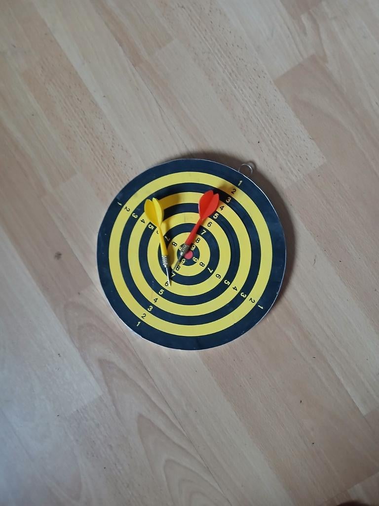 Dartsbord met 2 pijltjes, Sport en Fitness, Darts, Ophalen