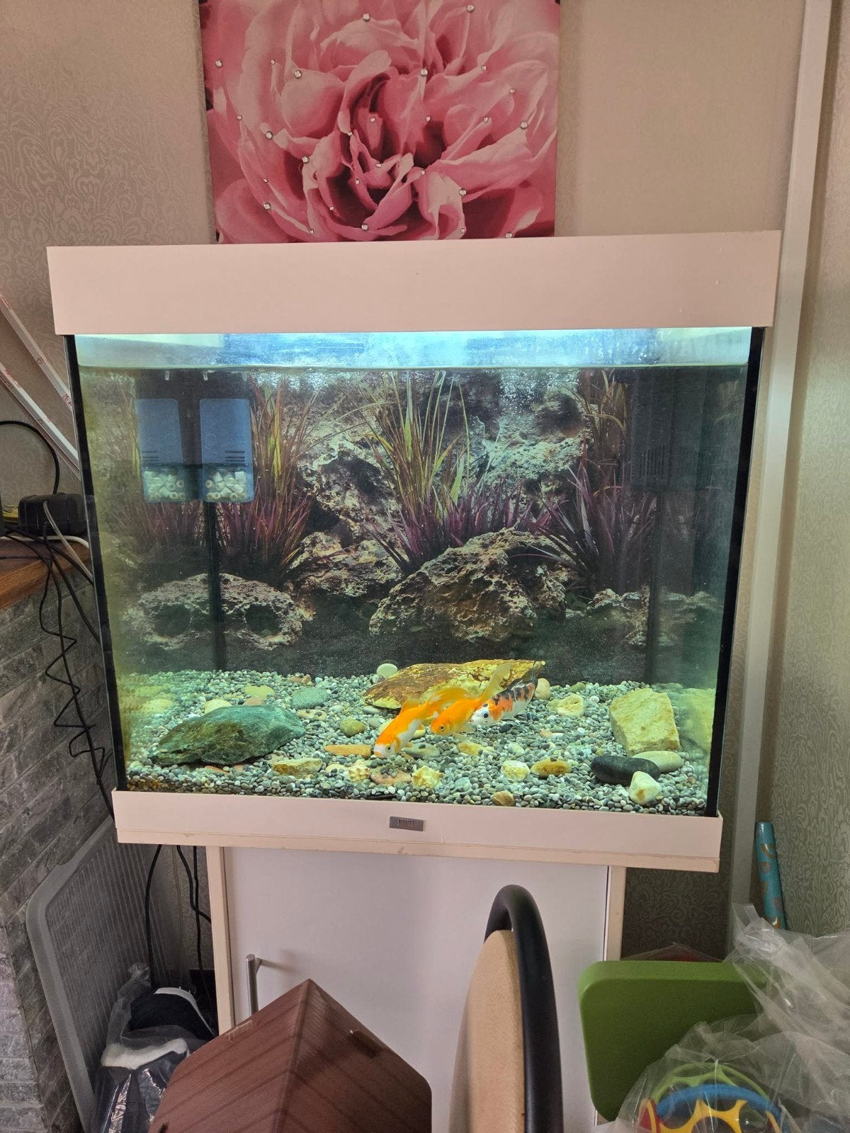 Aquarium, Dieren en Toebehoren, Gebruikt, Aquariummeubel, Ophalen of Verzenden, Inclusief deksel