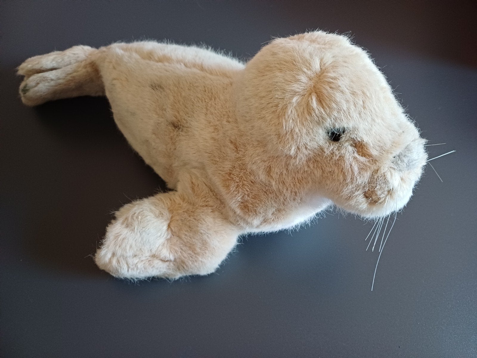 Sceau ancien de Steiff avec bouton et bannière
Longueur 40 c, Enlèvement ou Envoi