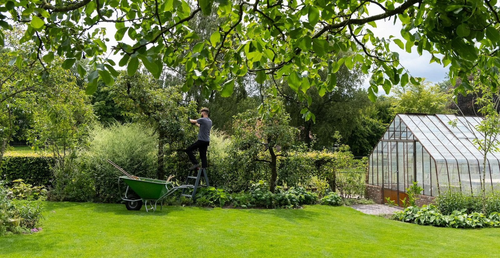 ENTRETIEN JARDIN SERVICE ÉCOLOGIQUE  ET MINUTIEUX