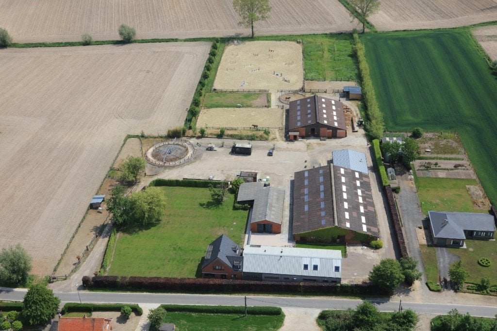 Paarden-accommodatie te huur, Dieren en Toebehoren, Stalling, 4 paarden of pony's of meer