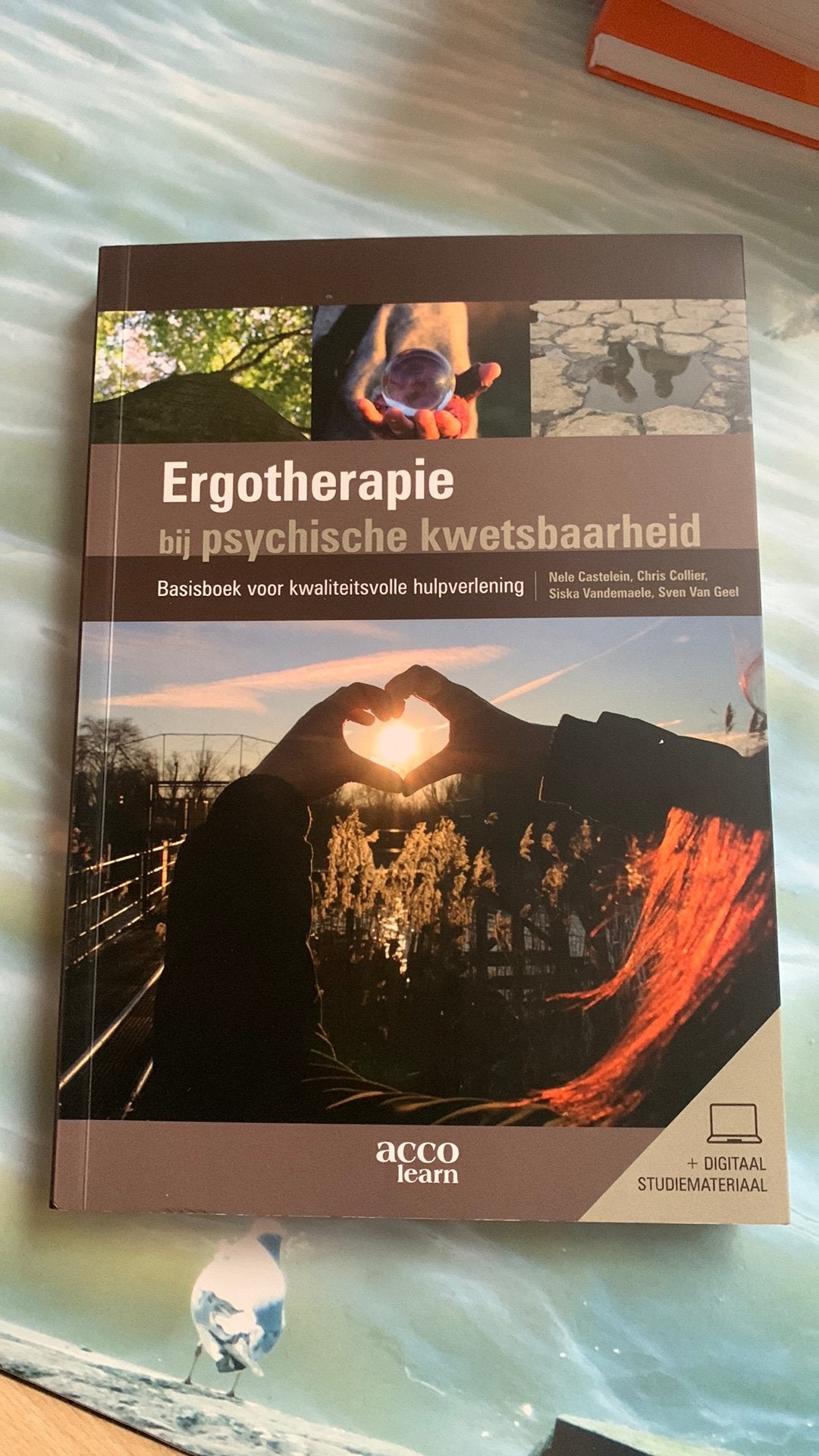 Nele Castelein - Ergotherapie bij psychische kwetsbaarheid, Boeken, Ophalen of Verzenden, Nieuw, Nele Castelein; Chris Collier; Siska Vandemaele; Sven Van Geel