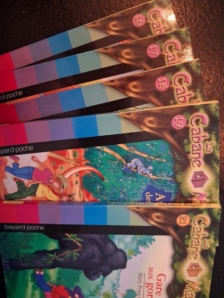 Lot de livres La Cabane magique, Enlèvement