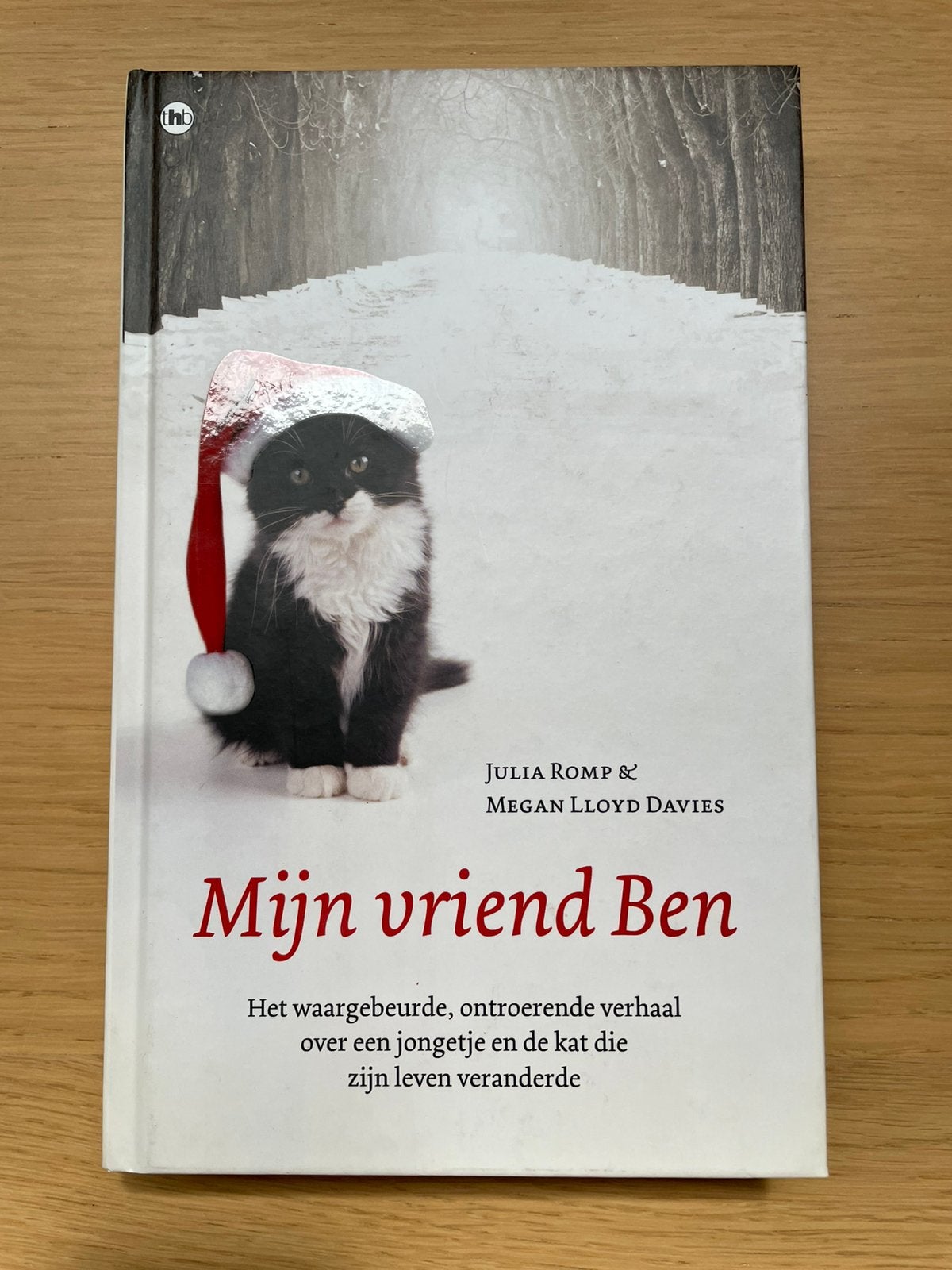 Megan Lloyd Davies - Mijn vriend Ben, Boeken, Romans, Zo goed als nieuw, Europa overig, Ophalen of Verzenden