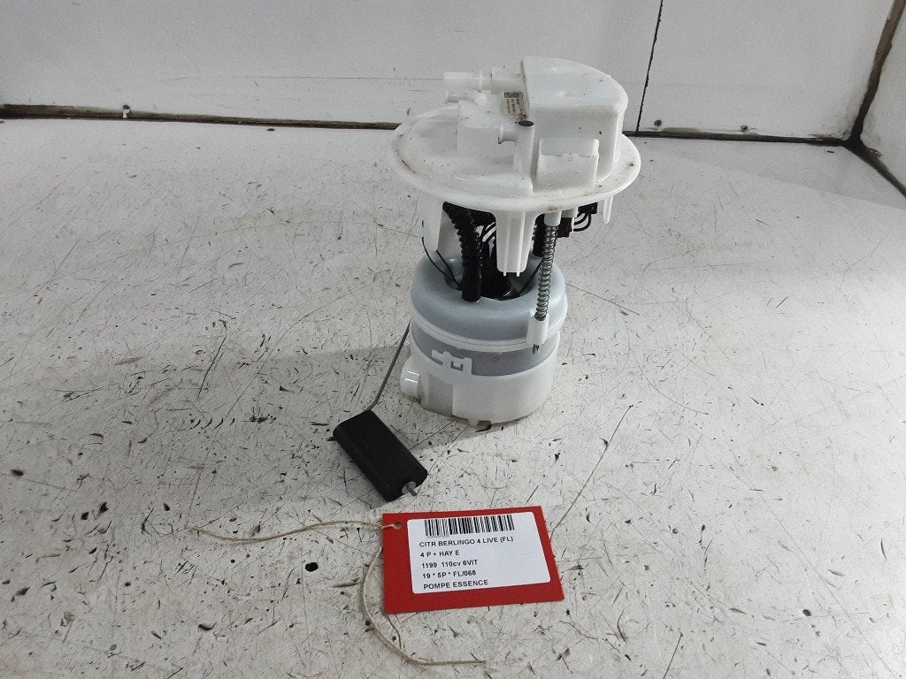 POMPE CARBURANT C Berlingo Multispace (183540102434), Autos : Pièces & Accessoires, Citroën, Mevr. I. Hauben, Utilisé, Rue de l'Espoir 34 34
4030  GRIVEGNÉE, BE