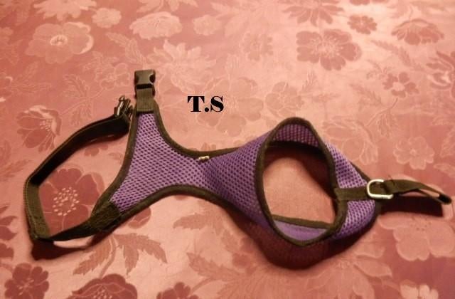 (18)- harnais petit chien ou chiot violet t.S, Enlèvement ou Envoi, Comme neuf