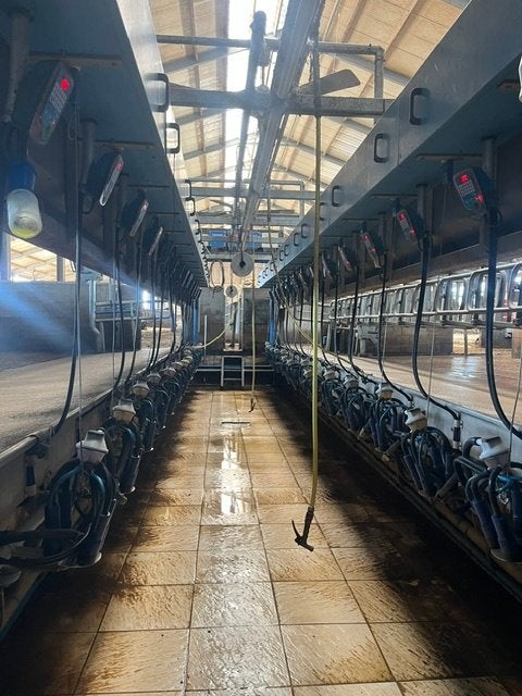 salle de traite Packo 2*14 sortie rapide, Zakelijke goederen, Landbouw | Aardappelen, Groenten, Fruit en Vlees, Ophalen