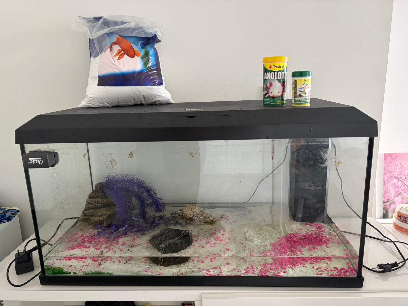 Aquarium Jewel, Pompe, Comme neuf, Enlèvement, Juwel