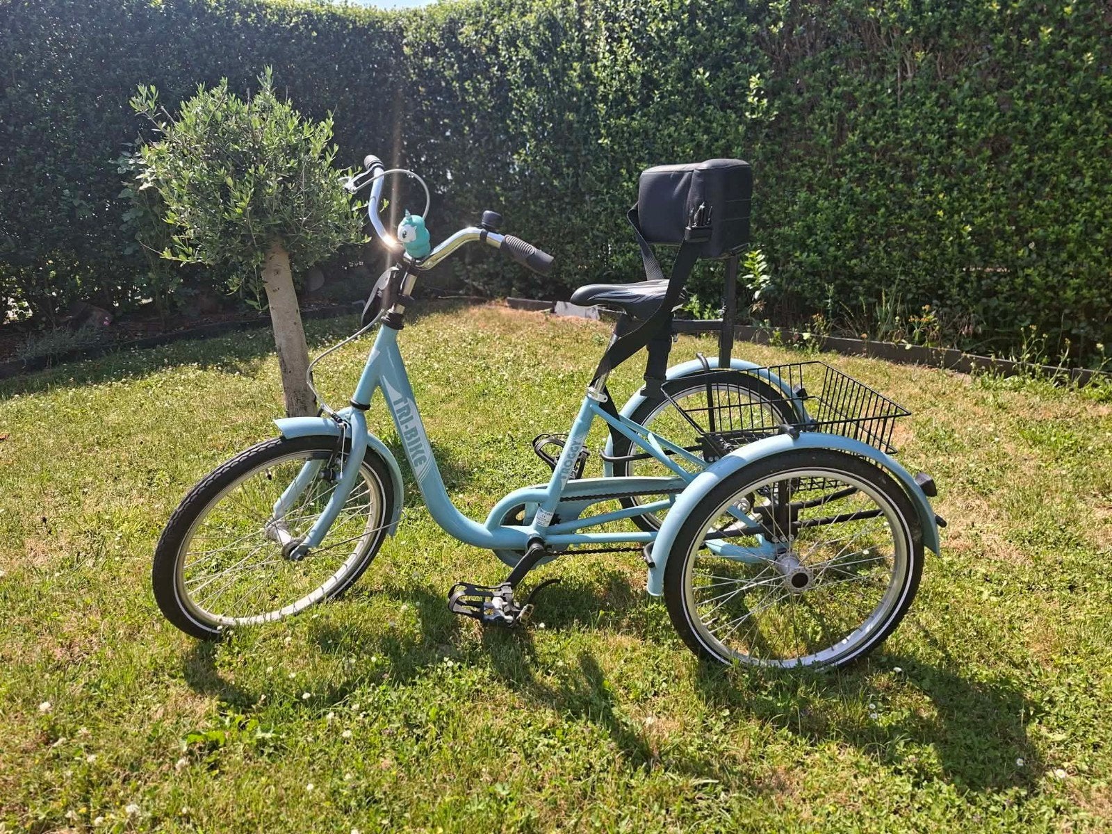 Tricycle thérapeutique Froggy, Enlèvement