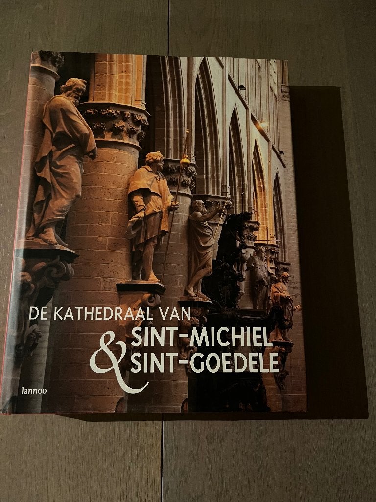 Boek De Kathedraal van Sint-Michiel, Ophalen of Verzenden, Zo goed als nieuw, Schilder- en Tekenkunst, Diverse auteurs