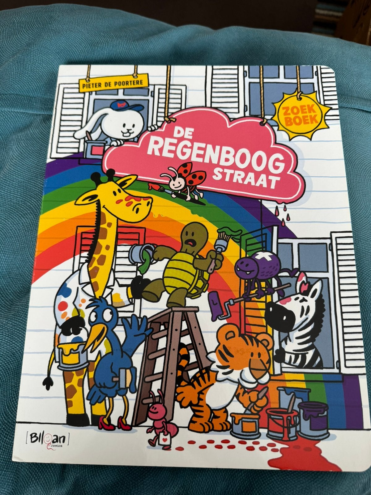 Zoekboek: De regenboogstraat, Ophalen, Nieuw, 2 tot 3 jaar, Uitklap-, Voel- of Ontdekboek