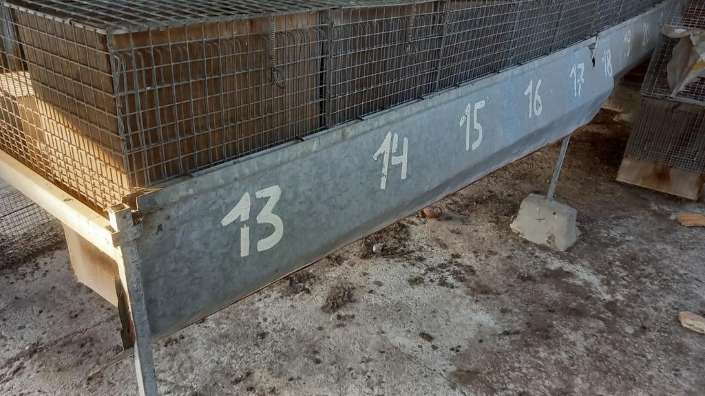 Konijnenvoedsterkooien op stander en met nachthok, Ophalen, Gebruikt, Overige typen, Hamster