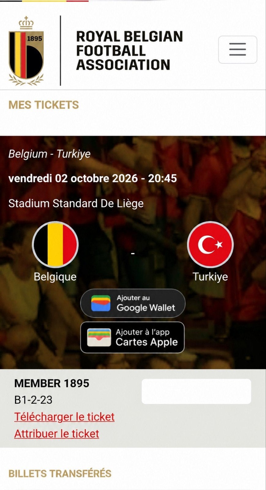 1 billet pour Belgique Turquie 02.10.26, Tickets & Billets