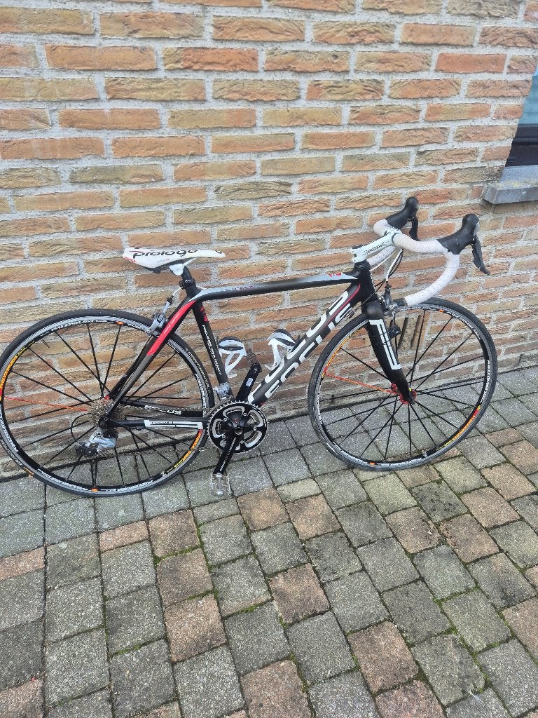 Focus cayo carbon, 49 tot 53 cm, Ophalen of Verzenden, Gebruikt, Carbon