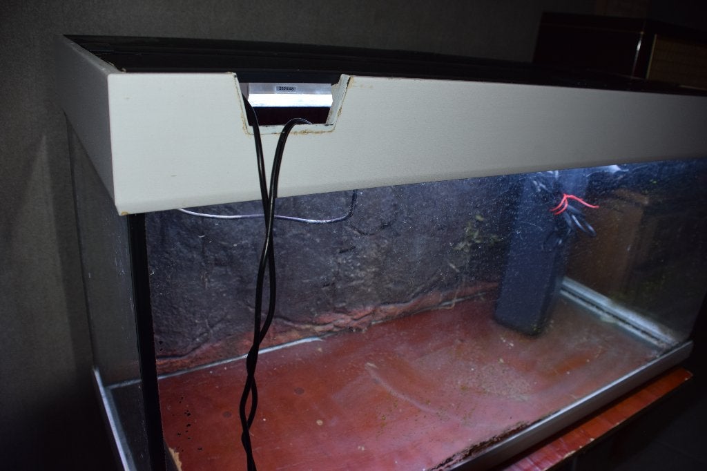 Aquarium, Animaux & Accessoires, Enlèvement, Pompe, Utilisé, Juwel