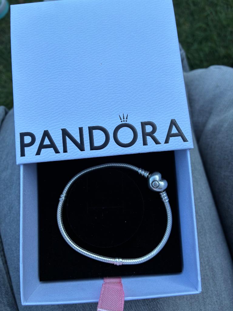 Pandora, Ophalen, Zo goed als nieuw, Zilver, Zilver