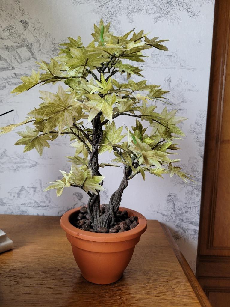 Plante artificielle type bonsaï, En pot, Moins de 100 cm, Enlèvement, Bonsai