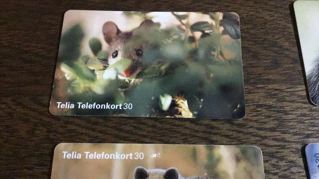 Zweedse telecard(f4), Verzamelen, Ophalen of Verzenden