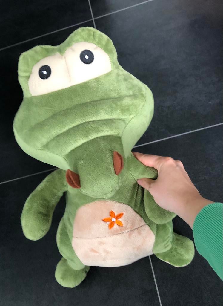 Knuffel krokodil, Enlèvement ou Envoi